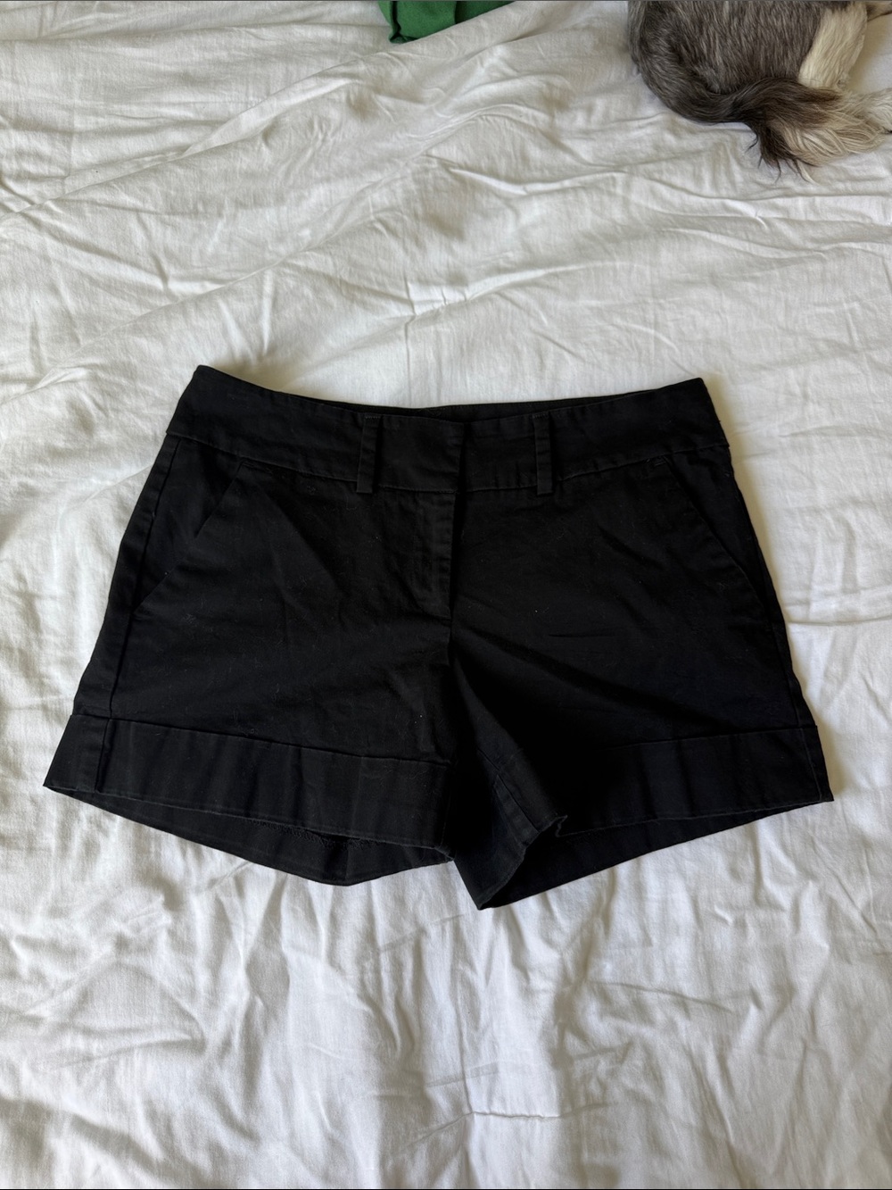 New York & Company Black Women's Tailored Shorts